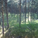 2009_LV_LT_SV_D 060